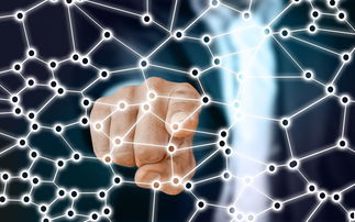 爱游戏体育APP下载-中国篮球职业联赛青训体系的结构优化，中国青年篮球联赛简称